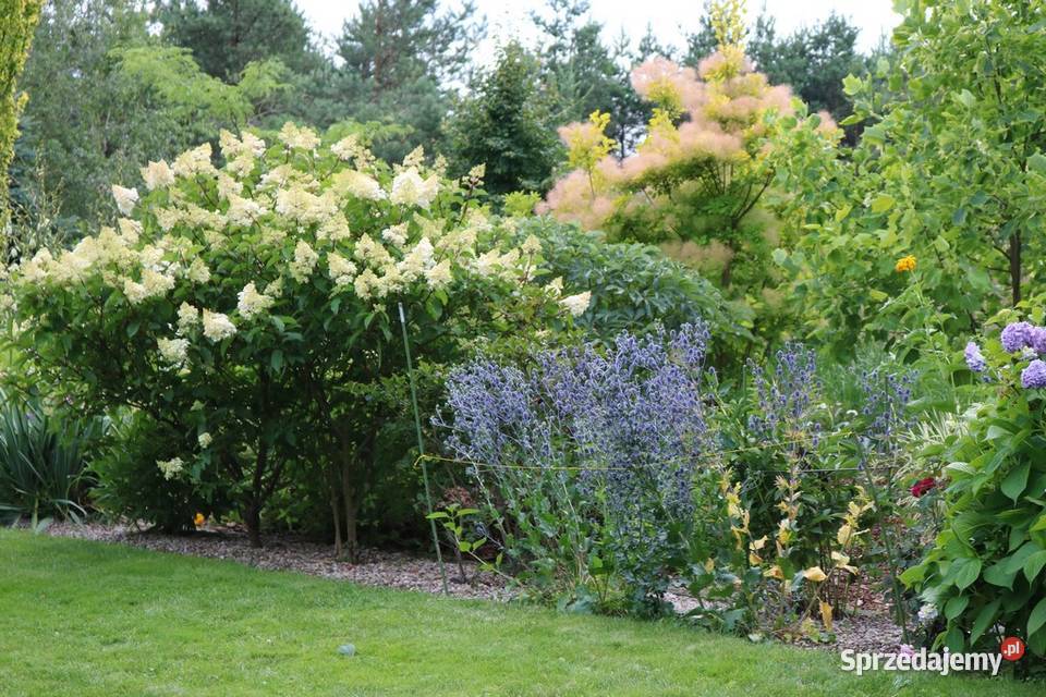 Usługi ogrodniczeKonin Koło Słupca Turek Konin