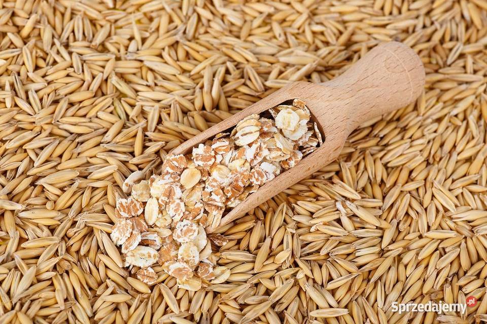 owies kukurydza big bag pellet opał kuku owsa Wisznice