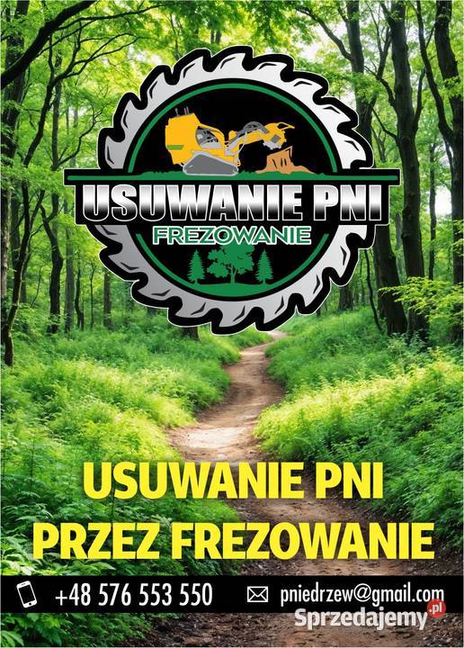 Usuwanie Pni Drzew Frezowanie Karczowanie i usuwanie drzew Pajęczno