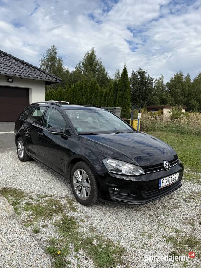 Vw Golf 2016 bezwypadkowy lubuskie Gorzów Wielkopolski