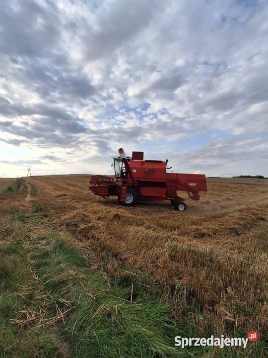 Bizon rekord Z058 Holland TCTX kujawsko-pomorskie Brodnica