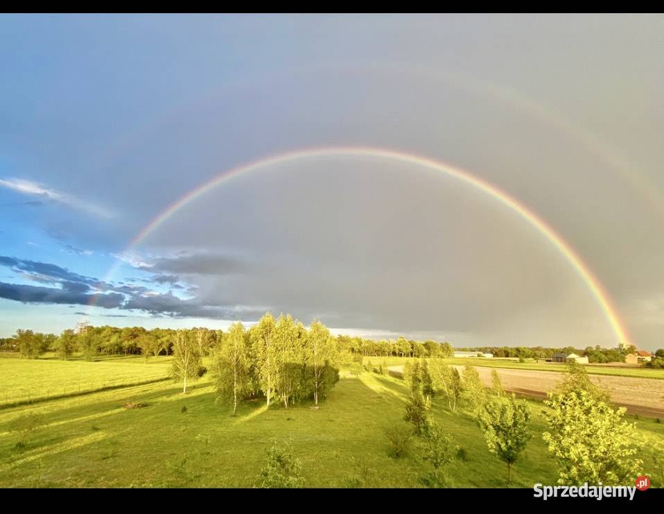 Działka pod Warszawą Henrysin