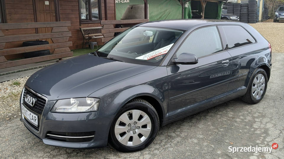 Audi A3 3drzwiowe 16TDi105OPŁACONYBezwypadkowy wspomaganie kierownicy A3 śląskie Częstochowa