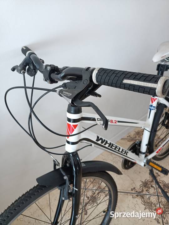 Rower WHEELER cross 62