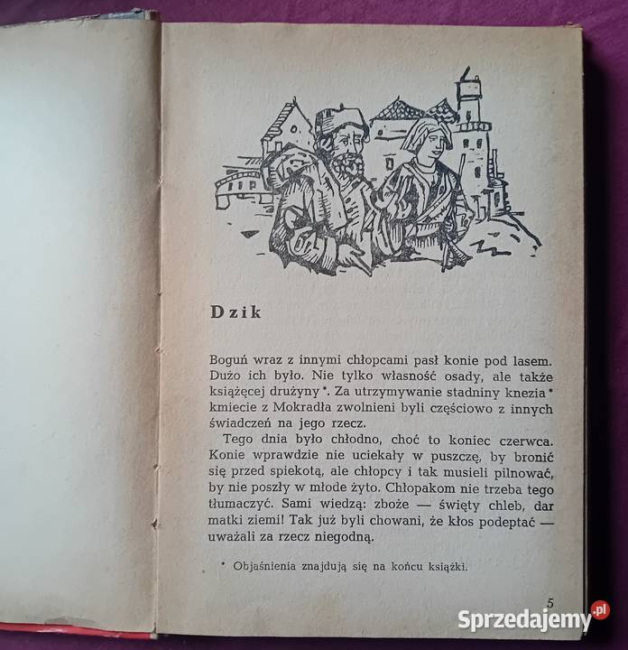 Jadwiga i Anna Chamiec Gniewko z Turoboi Wyd I Koźminek