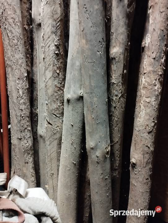 Stemple budowlane Pozostałe Brodnica