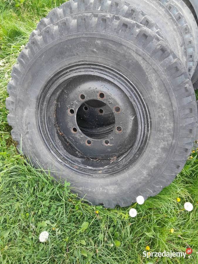 Przyczepa HL 6011 HL 6011 Babczów