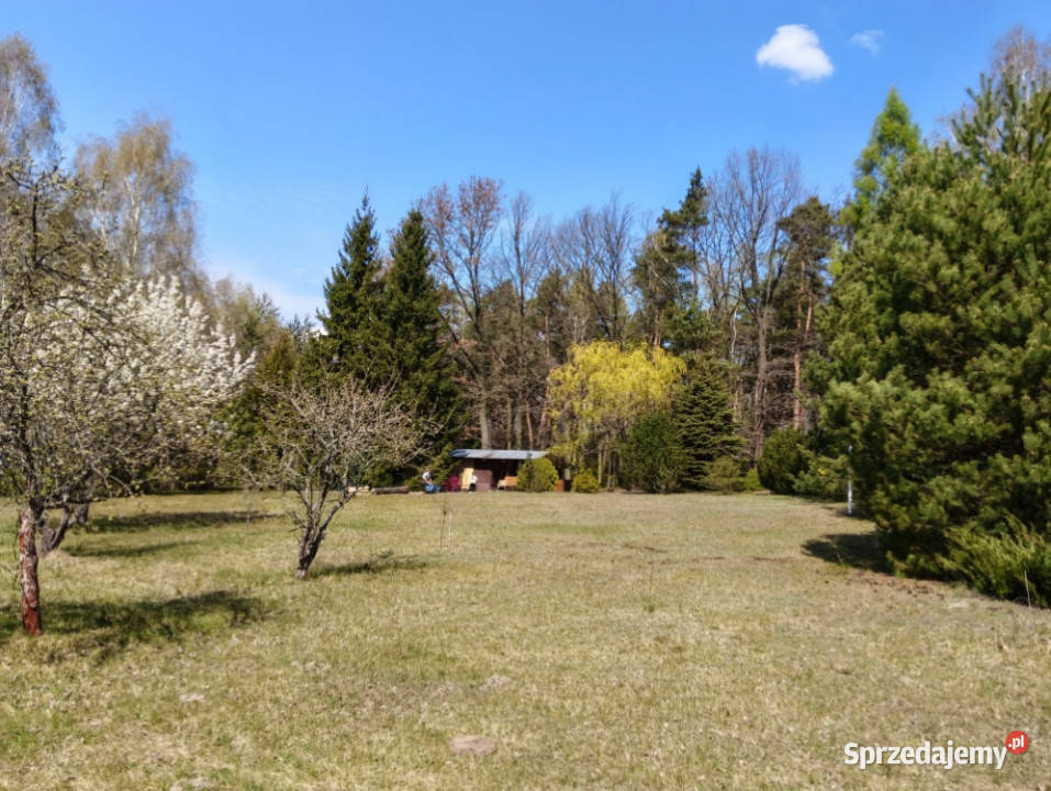 piekna dzialka odpowiediego klijenta Łódź