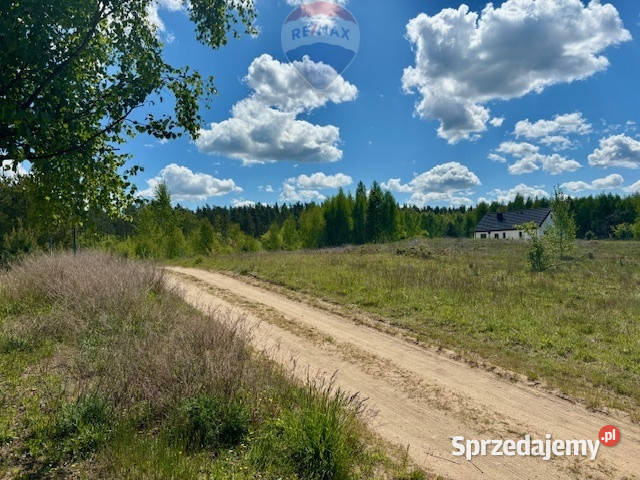 Ładne działki jeziora koło Kolbud Sprzedaż Czapielsk