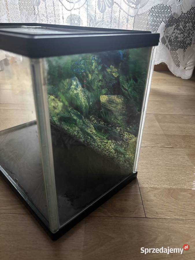 Akwarium lubelskie Janów Lubelski