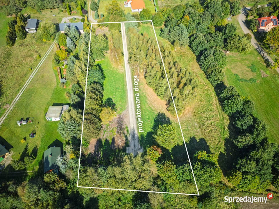 sprzedaży działki Kowalewice 500m2 asfalt