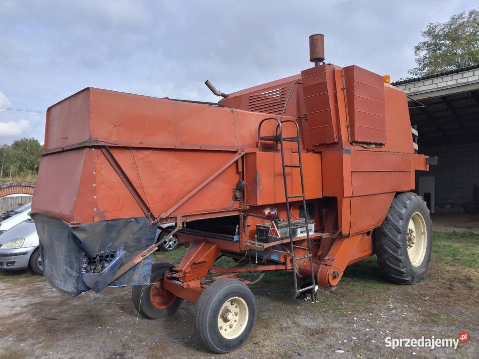 Bizon Bizon Wilkowo sprzedam