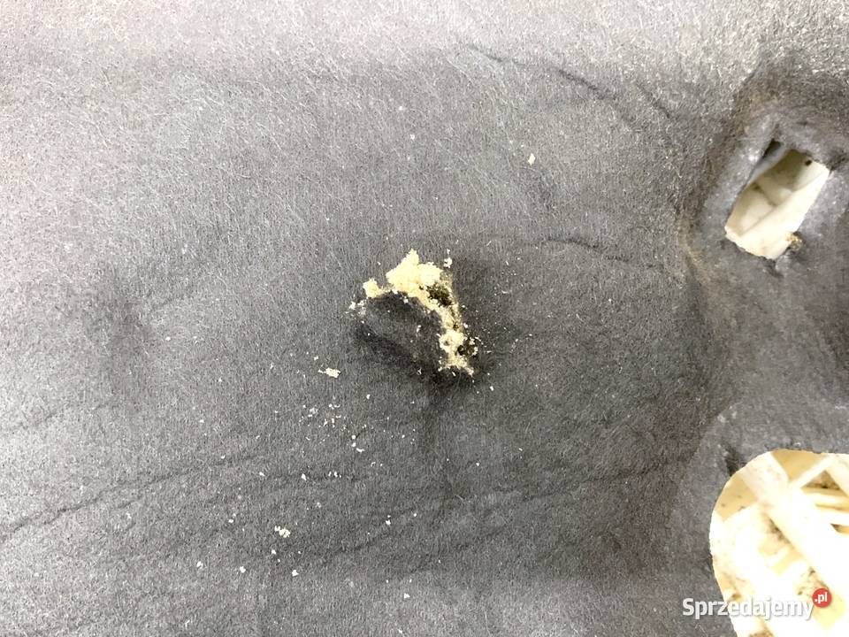 WYGŁUSZENIE MASKI FORD TRANSIT COURIER Bus podkarpackie