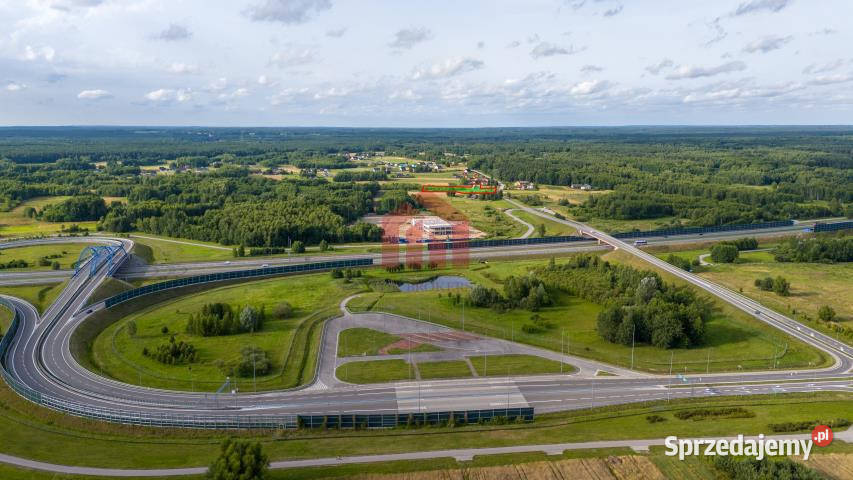 Grunt sprzedam 7000m2 Borek Wielki Króla