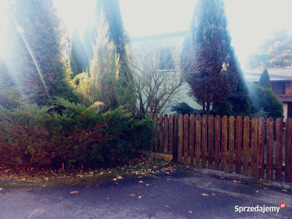 Sprzedam Dom z lasem w Przyszowicach drewniane Przyszowice