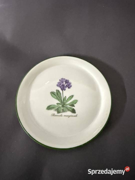 Talerzyki botaniczne