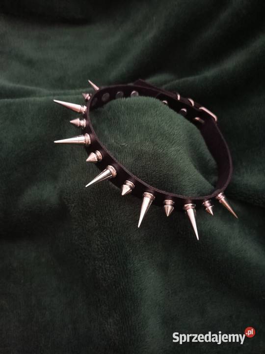 Obroże cholery pieszczochy Punk Rock Metal Lublin