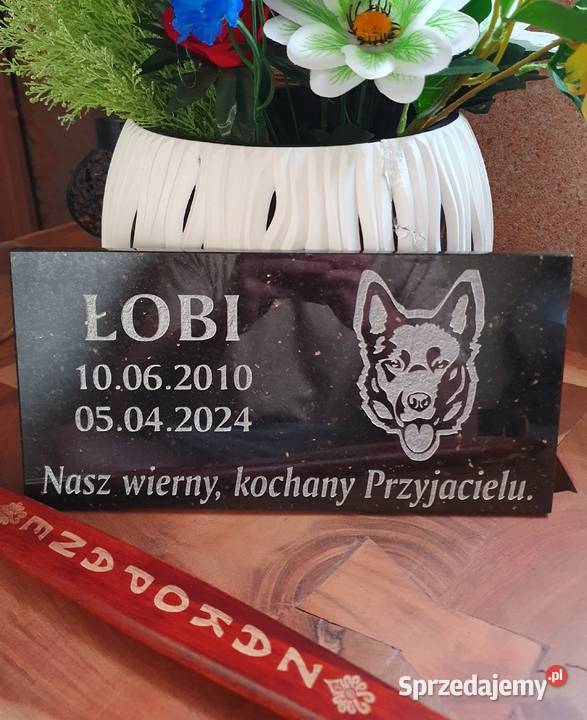Pomnik psa podkarpackie sprzedam