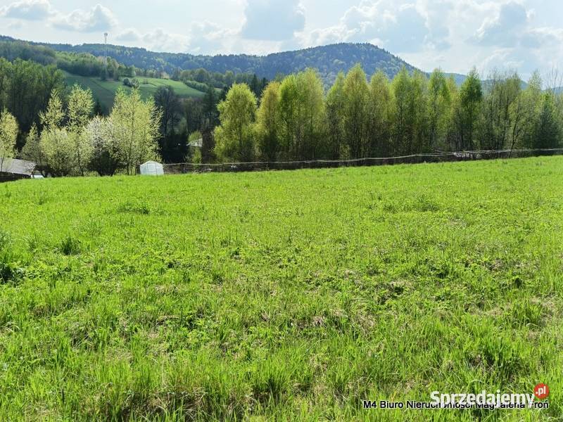 Widokowa 99 arowa działka w Jasienicy Rosielnej Jasienica Rosielna