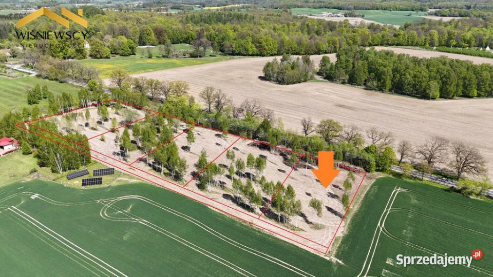 Działka 5306 m Dawidy