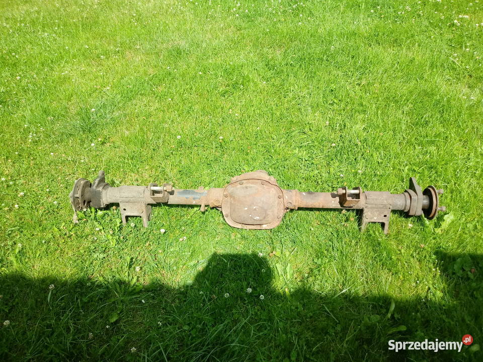 most poloneza do zrobienia kosiarki tłuki Ogrodnictwo i sadownictwo Puławy