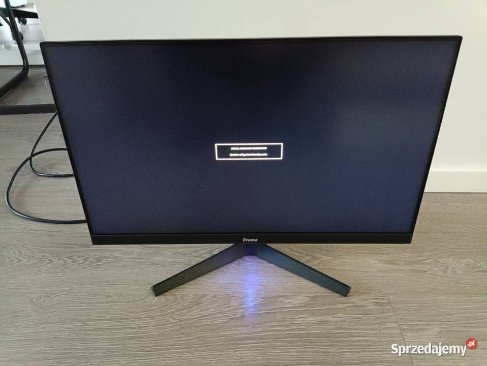 Monitor 24 IIYAMA G2450HS 1920x1080 Warszawa sprzedam