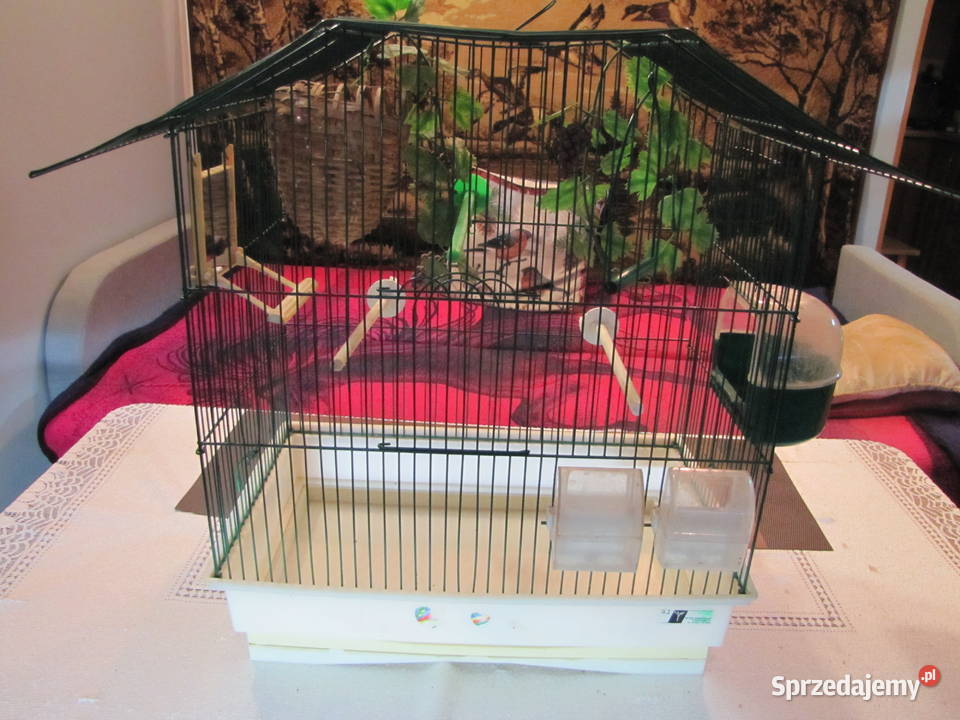 Klatka ptaków Toruń