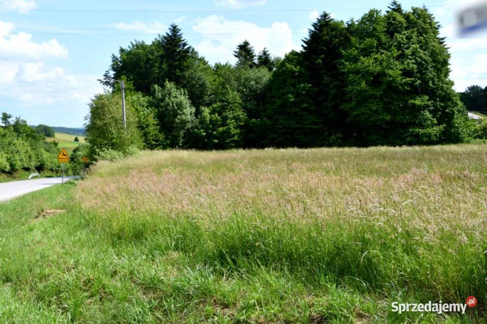 Działka budowlana 42a w Dylągówce 53m Nieruchomości podkarpackie Dylągówka