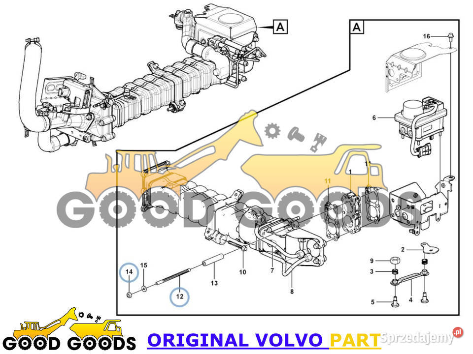VOLVO SZPILKA I NAKRĘTKA KOLEKTORA EGR 17482617 Władysławów