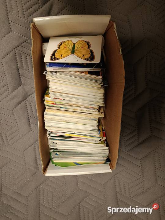 Karty telefoniczne 240 sztuk różne Polskie zachodniopomorskie