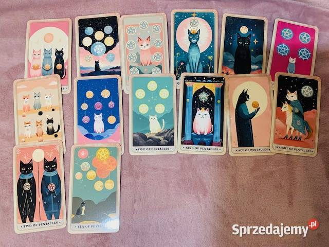 Karty The Meow Tarot Warszawa