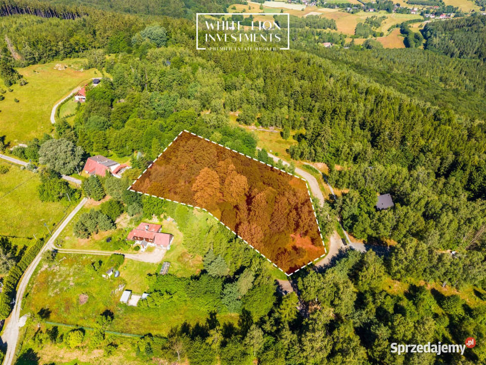 Grunt 2996m2 Studzienno asfalt