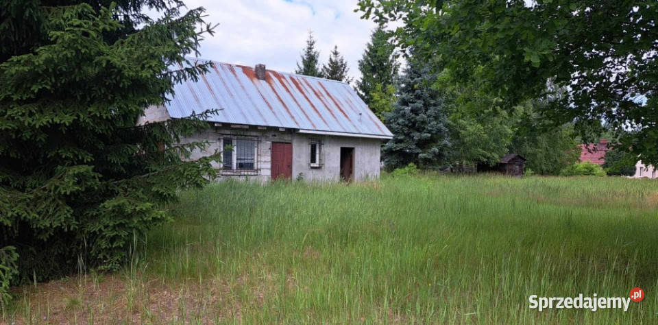 Sprzedam siedlisko 4000 m2 sprzedam