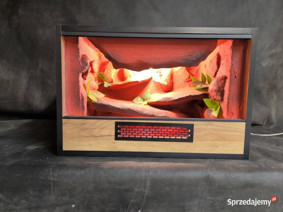 Terrarium meblowe pustynne stepowe wąż gekon Zwierzęta kujawsko-pomorskie Dobrzejewice