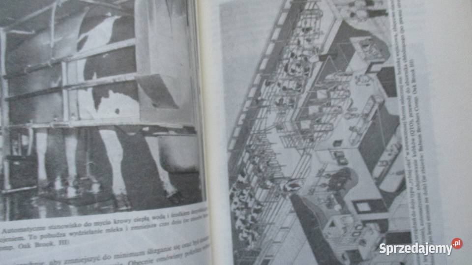 Podstawy produkcji mleka spożywczego i jego Książki naukowe i popularnonaukowe łódzkie Łódź