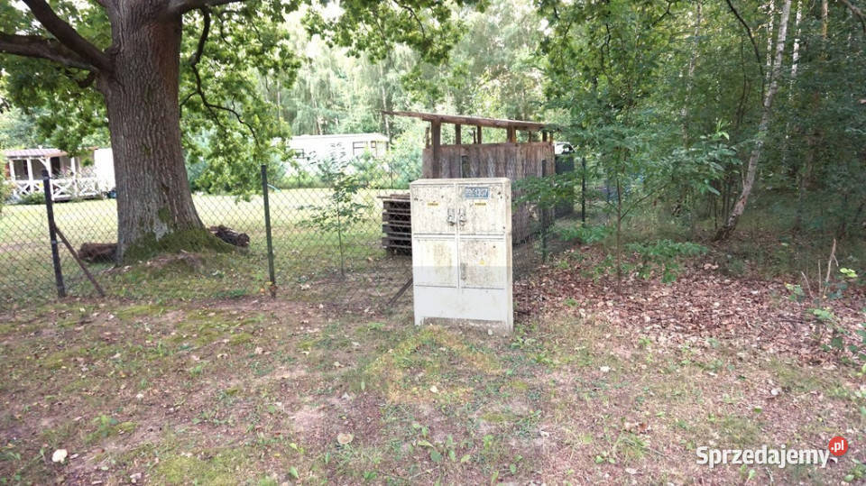 Działka letniskowa w pobliżu Narwi Sprzedaż Ostrykół Dworski