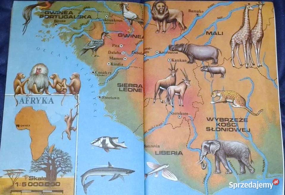 Nowa przygoda Gwinea Arkady Fiedler Chełm sprzedam