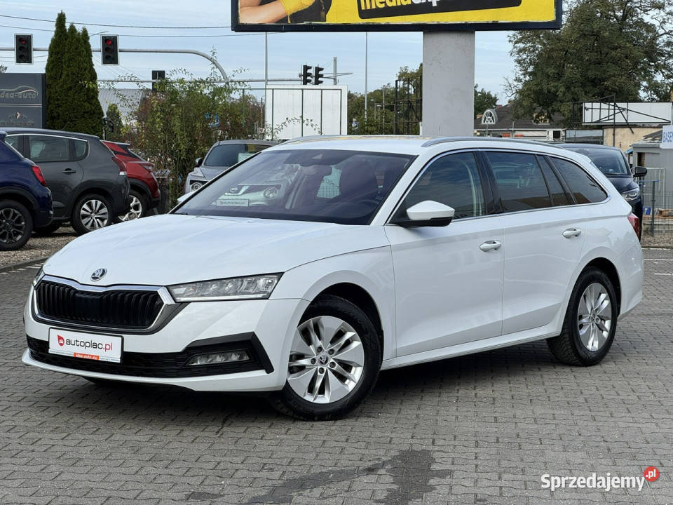 koda Octavia Suchy Las