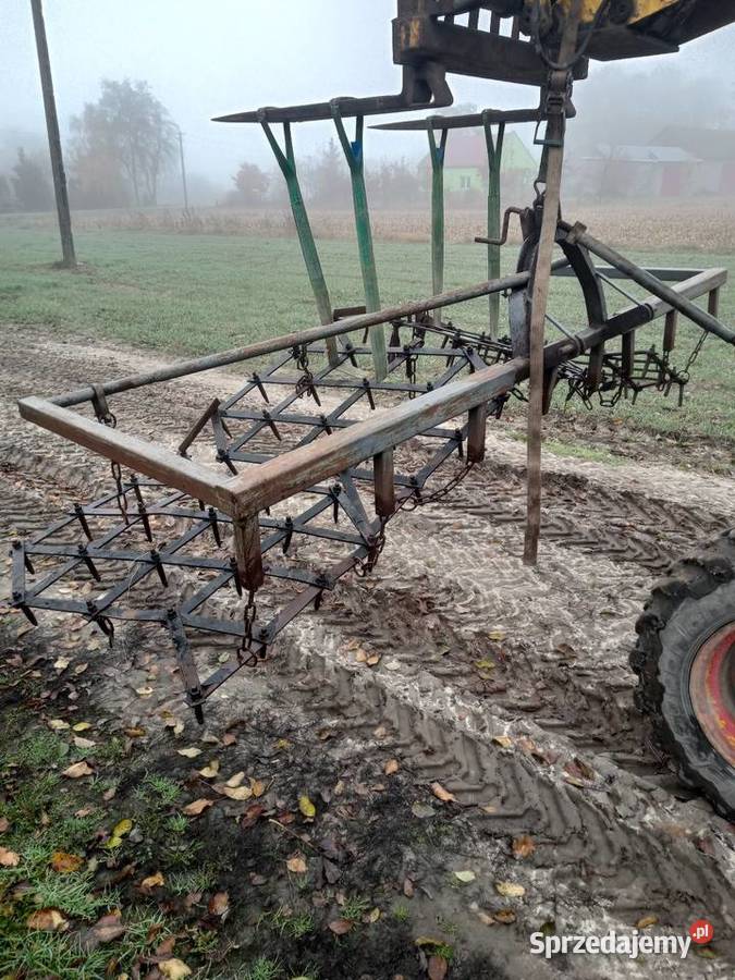 Brona brony nieuszkodzony