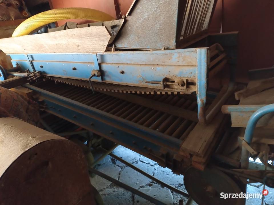 sortownik do ziemniaków polski Puck podlaskie Nowosady