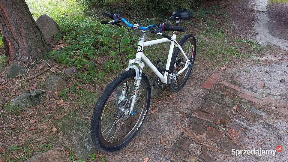 Profesjonalny Alu Rower Górski Mtb Sram 90 Rond Wołów sprzedam