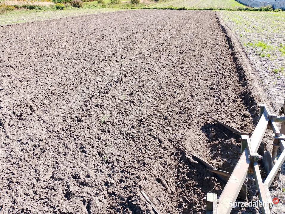 Pług 3 skibowy zagonowy Eberhard Piotrków Trybunalski