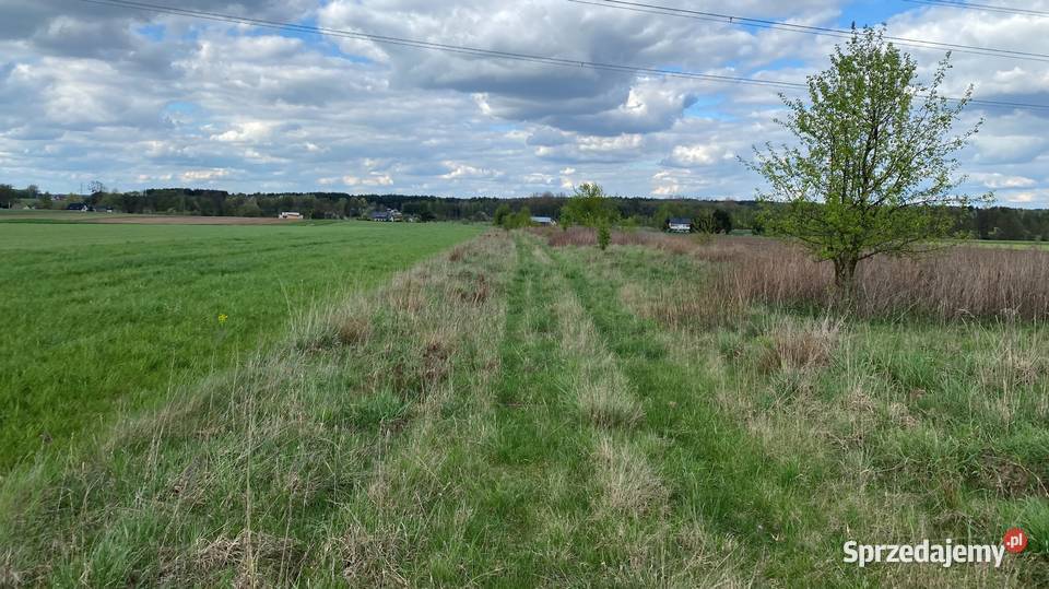 Syndyk sprzeda nieruchomość gruntową w Przyłęku Przyłęk