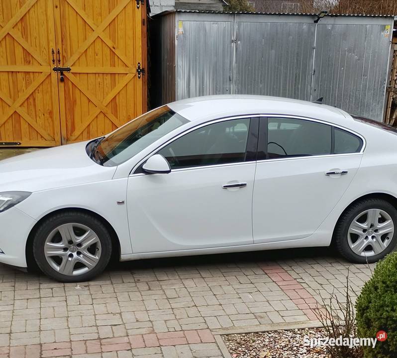 Opelek Czeremcha sprzedam