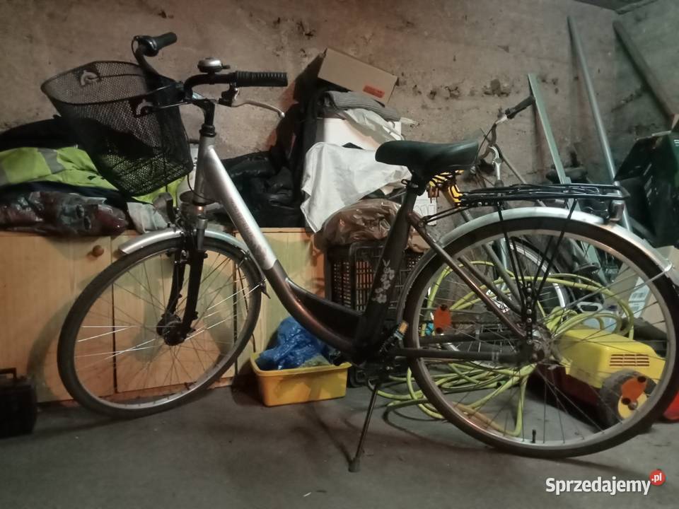 Rower damka damski Koło