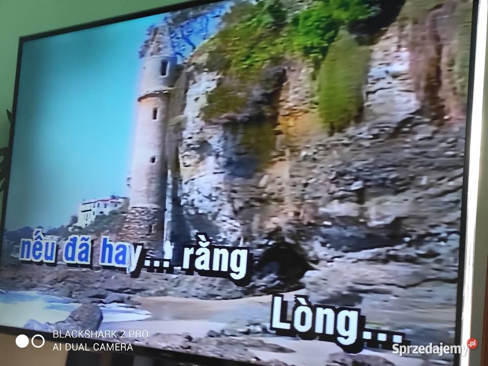 odtwarzacz Karaoke CDLD Pioneer CLD3760KV Pioneer Mosty