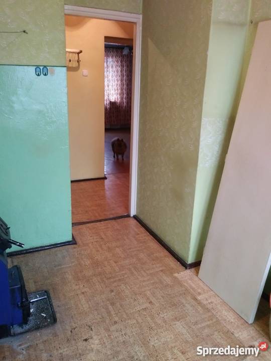 Sprzedam Mieszkanie Liczba pokoi 2 mazowieckie Nowe Miasto nad Pilicą