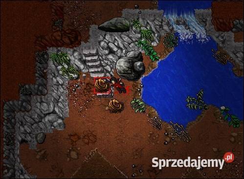 OTS Tibia 86 EVO 100 Custom Mapa Twój własny OTS mazowieckie Ostrów Mazowiecka sprzedam