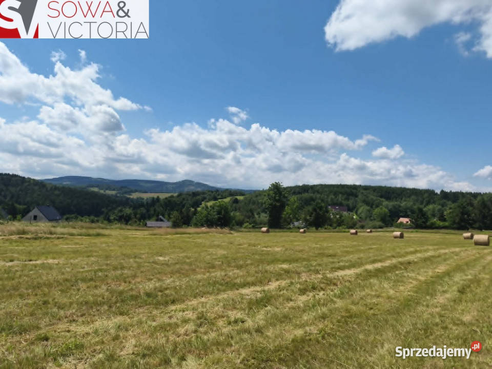Piekna panorama Michałkowa