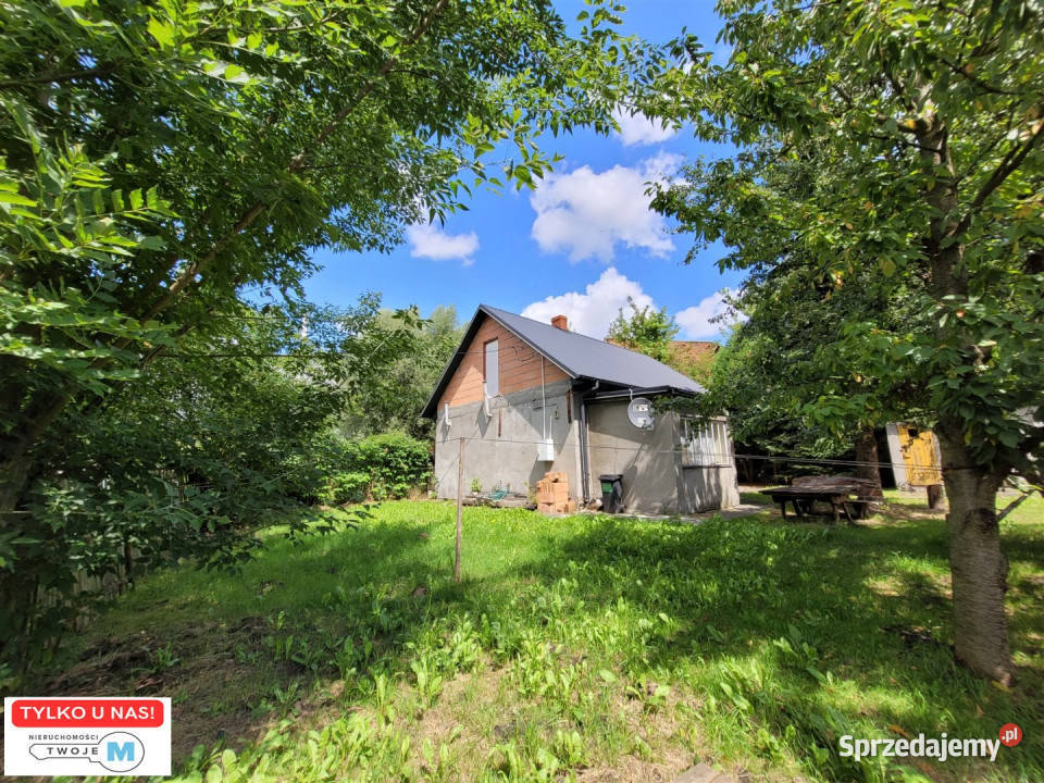 sprzedaży domu wolnostojącego Działoszyce 60m2 565m2